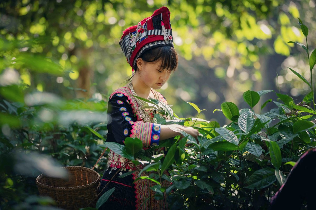 Discover Authentic Thai Artisan Products Online